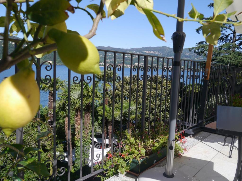 Hotel Lido ランコ エクステリア 写真